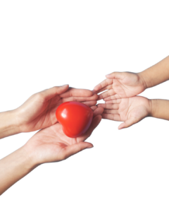 Paradox of Vulnerability in Leadership, Negotiation Skill Development for Women Leaders